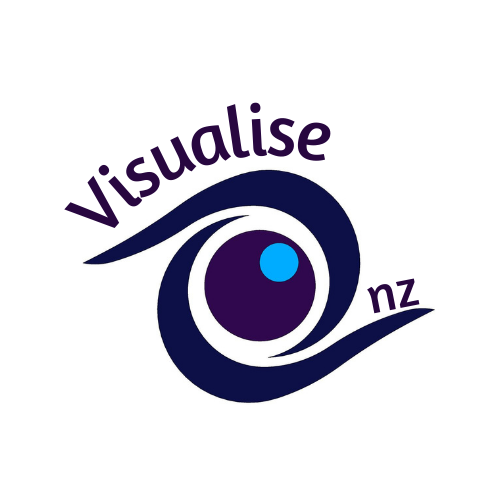 Visualise NZ logo