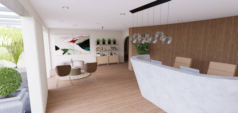 Tranquillity Day Spa reception render